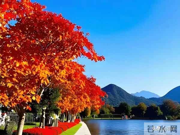 女人主动带你去这些地方，明摆着动情了，男人拿不下说明情商太低