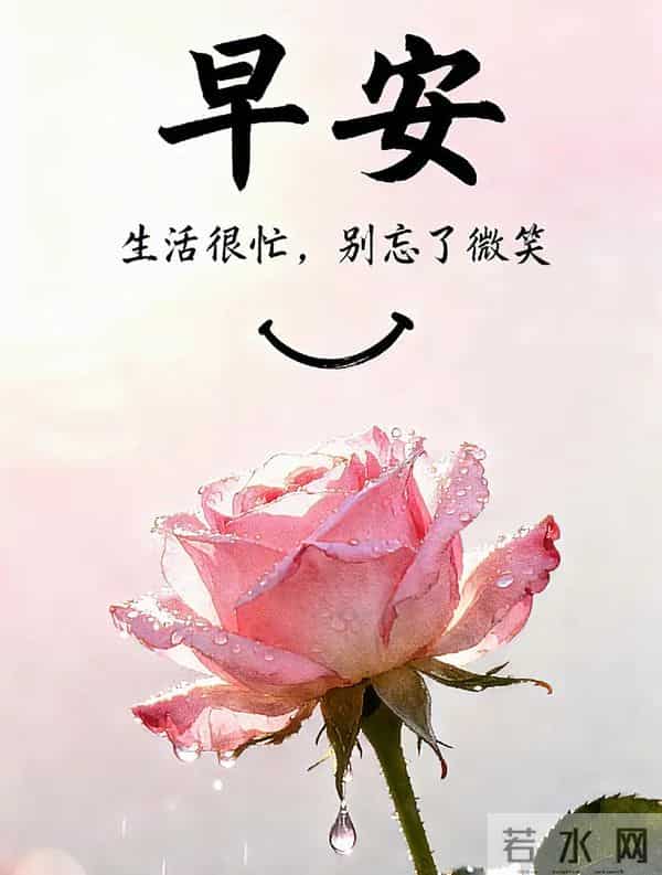 2025年12月11日周四早安 早上好图片最新今天 温馨淡雅的早安图片