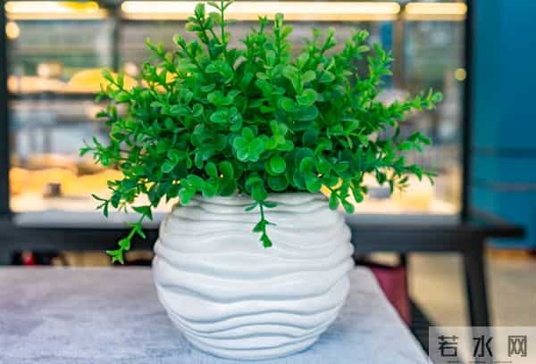 当遇见心头蜜糖宝贝，大声勇敢说爱，不负卿来不负己，让人间值得