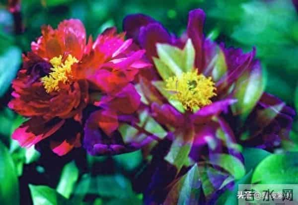 52岁保姆再婚第一晚崩溃：中年爱情，哪有那么多浪漫