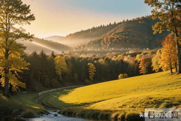 本周收官，4 星座运势逆袭，事事顺心情佳