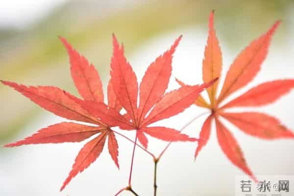 退休清华教授十条人生忠告:70岁后,一定要守住自己的幸福底线