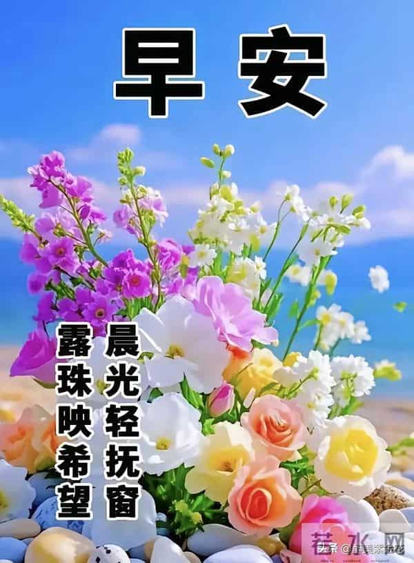 12月12早安祝福图片。美好的清晨祝愿大家开心快乐健康平安