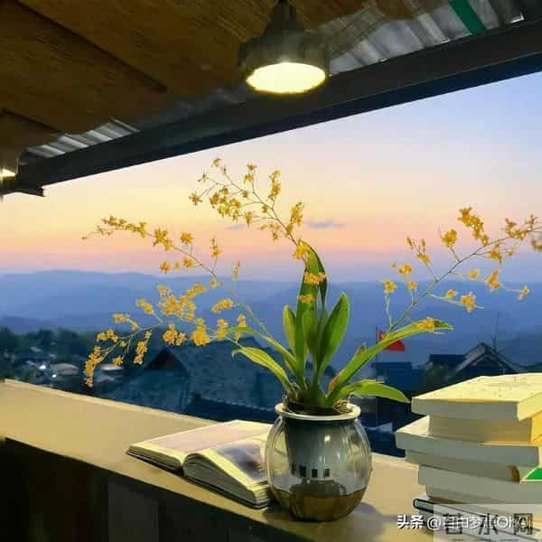 主见太强，一般人搞不定的星座