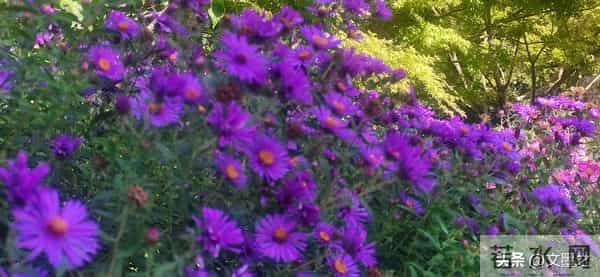 人老莫贪，过了六十，能混到这几点，就算有福之人，该知足了