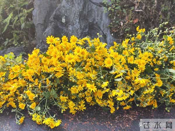 男人，别瞎摸了，女人身上这3个“一碰就炸的开关”，错了就出局