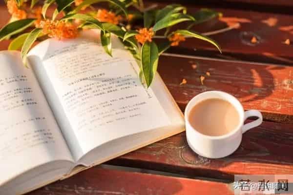 半生已过，让所有的陈年往事，一半入梦，一半随风吧