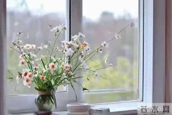 巳蛇：未来5天要留意这一个人，对你大有好处