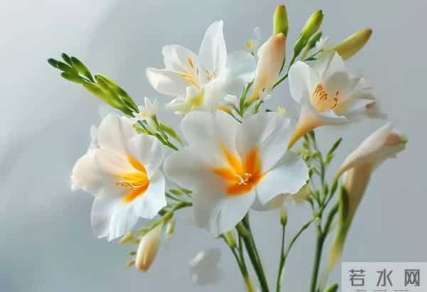 熬出头了，72年属鼠人，你的好日子来了