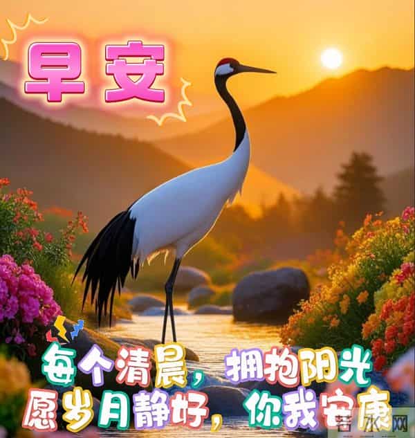 星期四非常漂亮的早上好问候语、图片 周四早安问候祝福语温馨句子