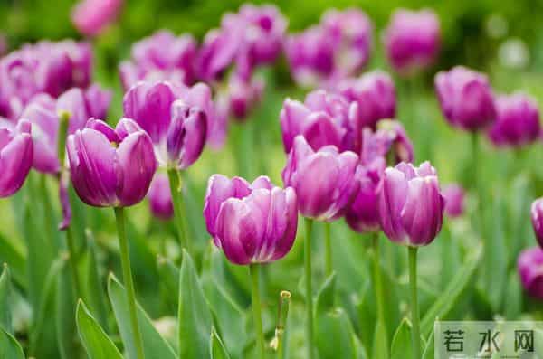 面对爱而不得的人，最好的方式，其实就一个字