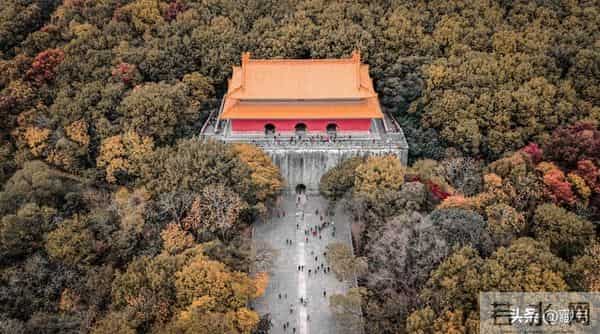 幸存者宣言——致所有在血脉中听见雷声的人