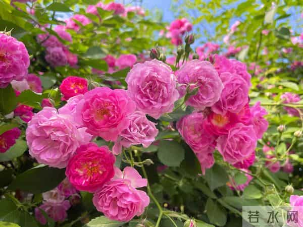 这15句大白话，比任何鸡汤都实在，看完心里敞亮多了！