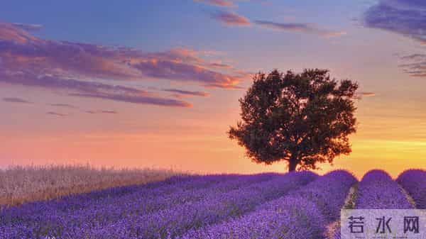 生肖蛇，计划不如变化快，，12月12日，未来5天，喜从天降！