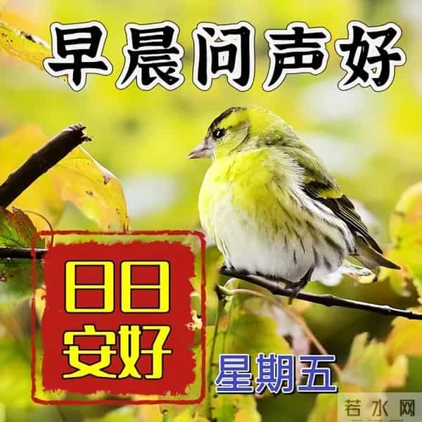 开心简短的早安佳句,高质量暖心问候,清晨又来到,向你问声好