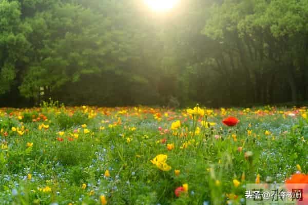 一个很厉害的本事:就是跟任何人相处,都大大方方的秘诀就一个