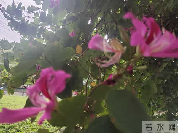 【失望从不是哭闹,沉默了才最狠-心凉透了,多说一句都多余】