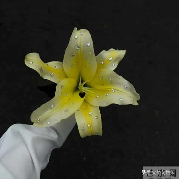 一个男人这么对你，其实就是在乎你