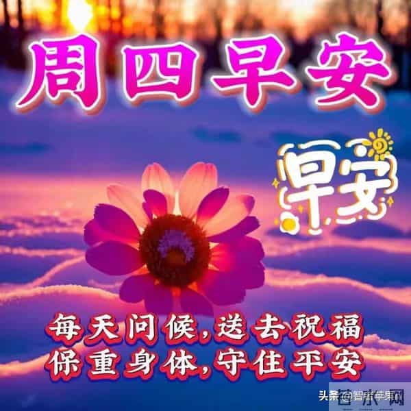 2025年12月11日早安问候：用温度融化冬日的寒