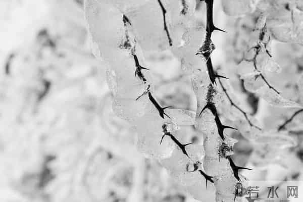 灵性很高，自带隐形光环的星座：步步穿篱入静幽，自有清风对碧流