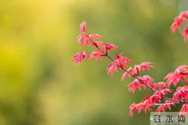 两性交往，刺激女人荷尔蒙的6个“心”开关，让她彻底为你折服！