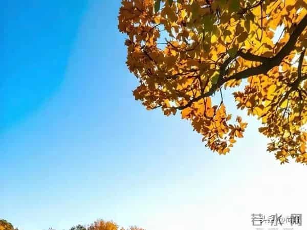 女人主动带你去这些地方，明摆着动情了，男人拿不下说明情商太低