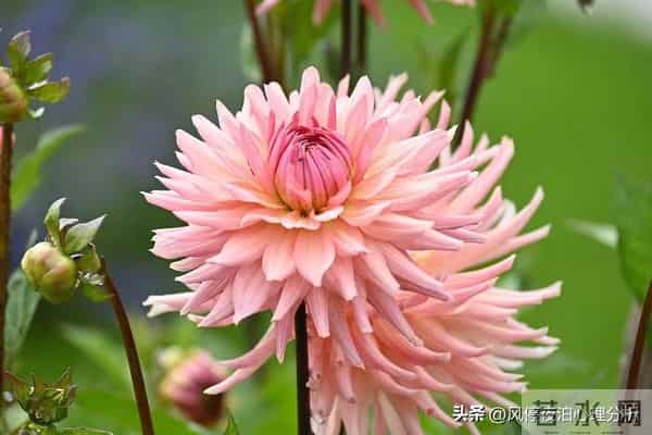 人到中年，和枕边人的关系相处：别走得太近！有好处