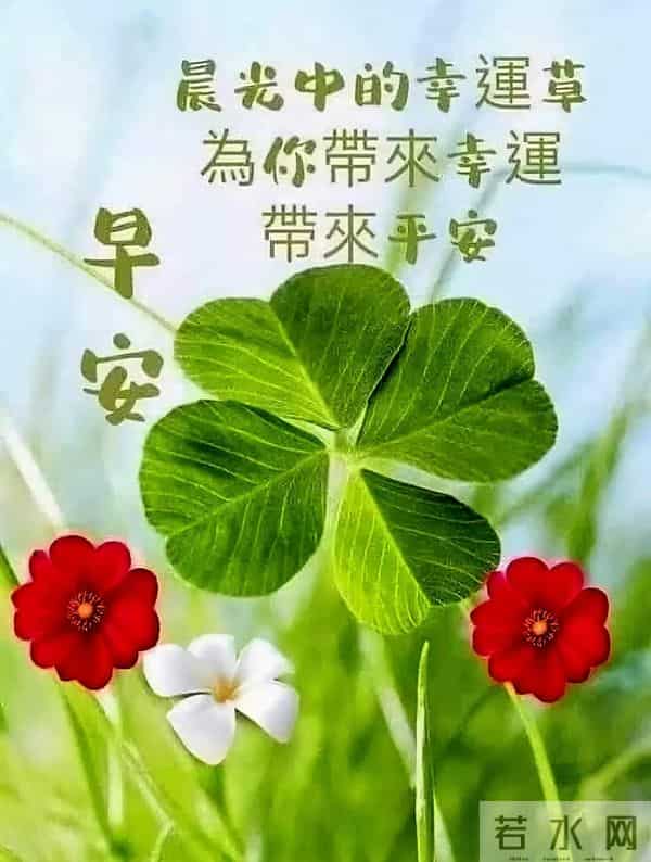 2025年12月12日早上好 早安周五愉快 早安精美美图温馨祝福语 早上好