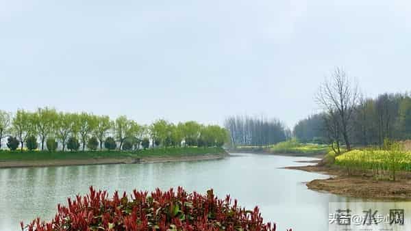 男人触碰女人这个地方，比亲吻拥抱还让她心动，50岁后越碰越恩爱