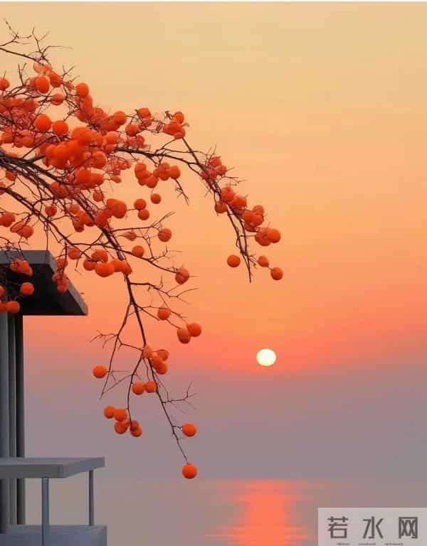 句句渡己，句句入心：15句一切看淡，万般随缘，以欢喜之心度流年