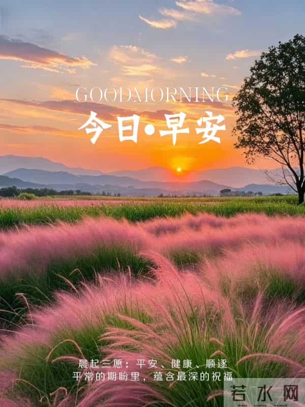 早安祝福美图 - 走过秋，迎来冬，轻声问候里，藏着最温暖的祝福