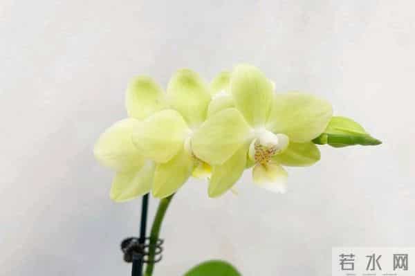 考上大学我妈给我侄子10000元，给我儿子2000，还让我不要不平衡