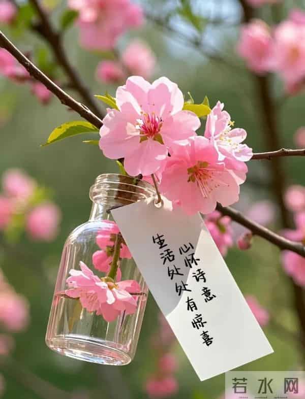 2025年12月11日周四早安 早上好图片最新今天 温馨淡雅的早安图片