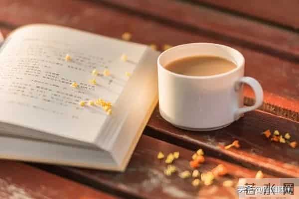 半生已过，让所有的陈年往事，一半入梦，一半随风吧