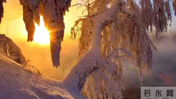 人生苦累独自扛，静默成长更坚强