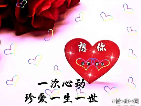 心中有爱，情真意切，一次遇见，铭记一生