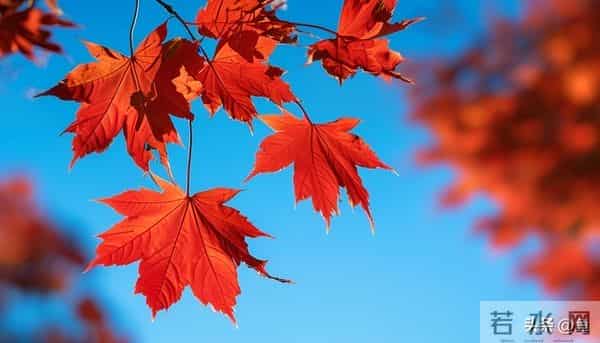 退休清华教授十条人生忠告:70岁后,一定要守住自己的幸福底线