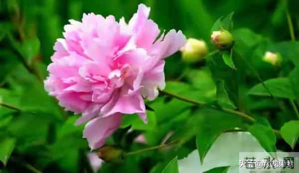 老了才明白：父母开始看你脸色了，不是他们怕你，而是他们老了。