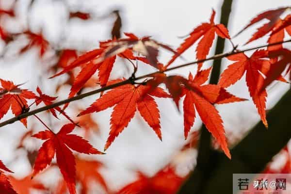 退休清华教授十条人生忠告:70岁后,一定要守住自己的幸福底线