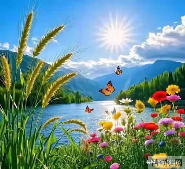 年过五十的70后夫妻,如果只有一个儿子,请尽量做到“五个要”