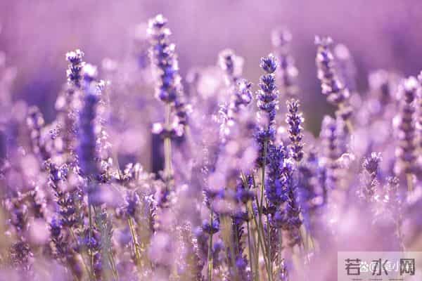 让女人害怕失去你，最好的方式，是“三不给”