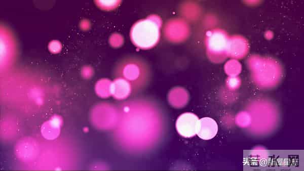 巳蛇，12月12号至12月18号中旬运势，即将喜从天降！