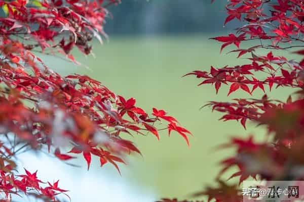 两性交往，刺激女人荷尔蒙的6个“心”开关，让她彻底为你折服！