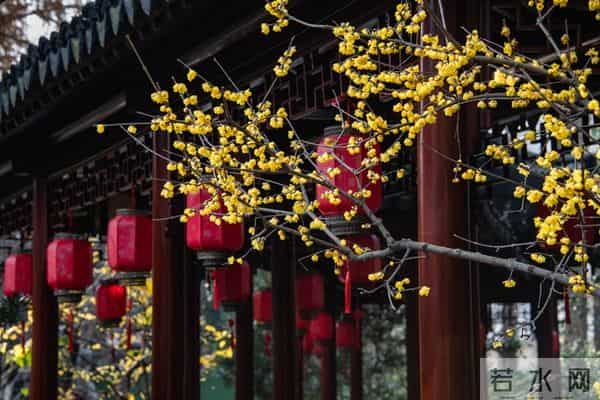 老了才明白：父母一旦超过70，立刻停止3种行为，否则晚景会凄凉