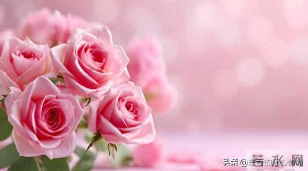 一个男人写给灵魂知己的深情告白，无数人直呼共鸣！