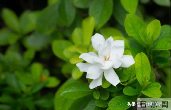 遇到这3种人，千万不要深交，离得越远越好！