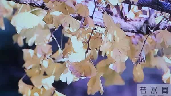 活在这个世上，永远不要怪别人对你的态度，因为他们对你的态度取决于你的实力，倘若你是有实力的人，那么别人自然愿意靠近你。