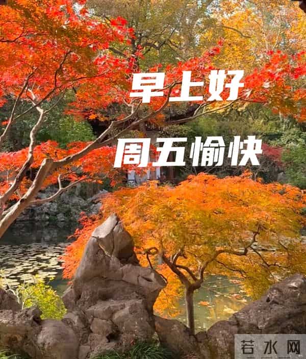 2025年12月12日早上好 早上好温馨问候祝福语 早安精美图片 周五愉快