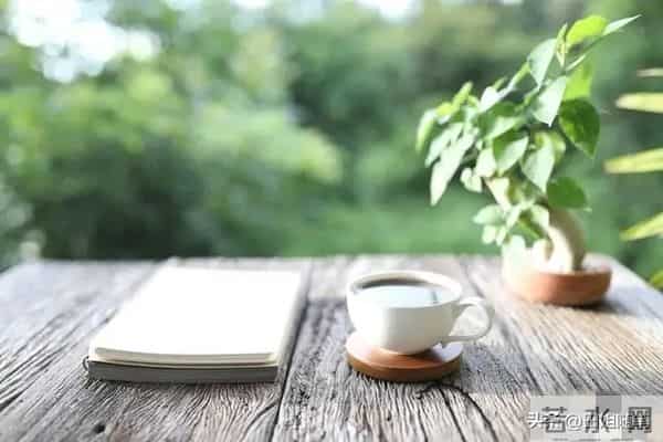 半生已过，让所有的陈年往事，一半入梦，一半随风吧