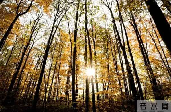 女人转运多半是：金牛逆袭2026